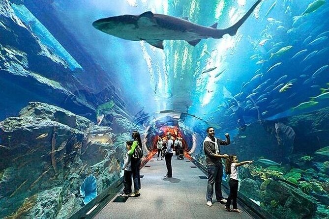 Scuba Diving view 1