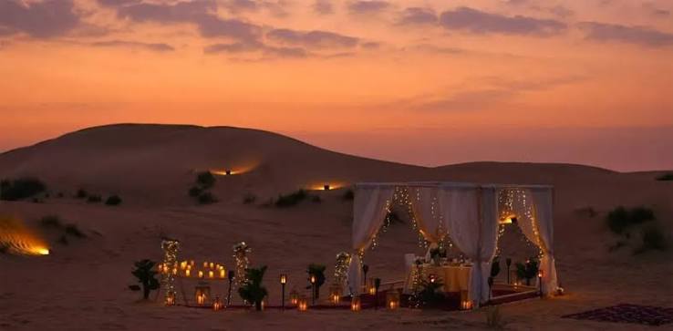 VIP Private Desert Safari