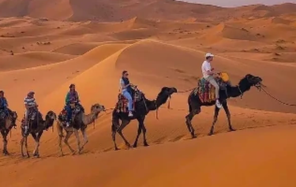 Sunrise Camel Trekking