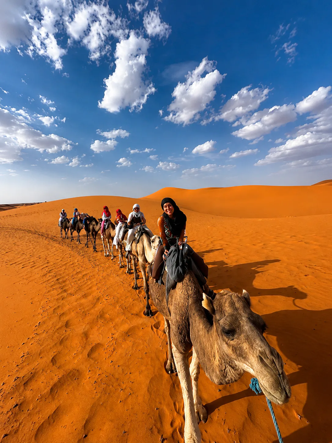 Sunrise Camel Trekking