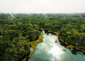 Amazon Rainforest, Brazil: Explore the Lungs of the Earth