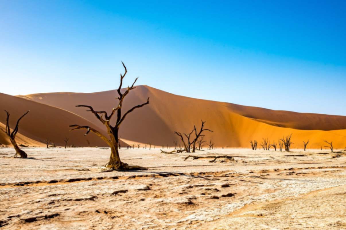 Beaten-Track-Adventures-Namib-Desert