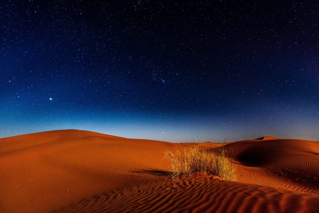 Chasing the Sun Book Your Evening Desert Safari Experience