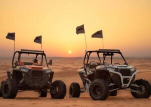 VIP Evening Desert Safari