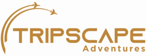 Gold-1.png