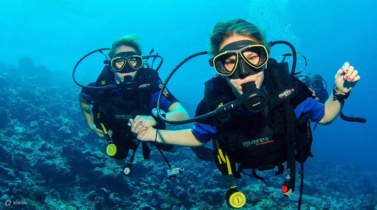 Scuba diving in Dubai sightseeing