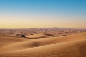 Evening Desert Safari