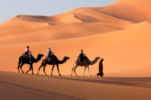 Camel Trekking