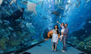 Dubai aquarium and underwater zoo