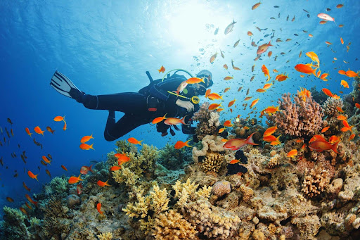 Scuba Diving and Specialty Diving