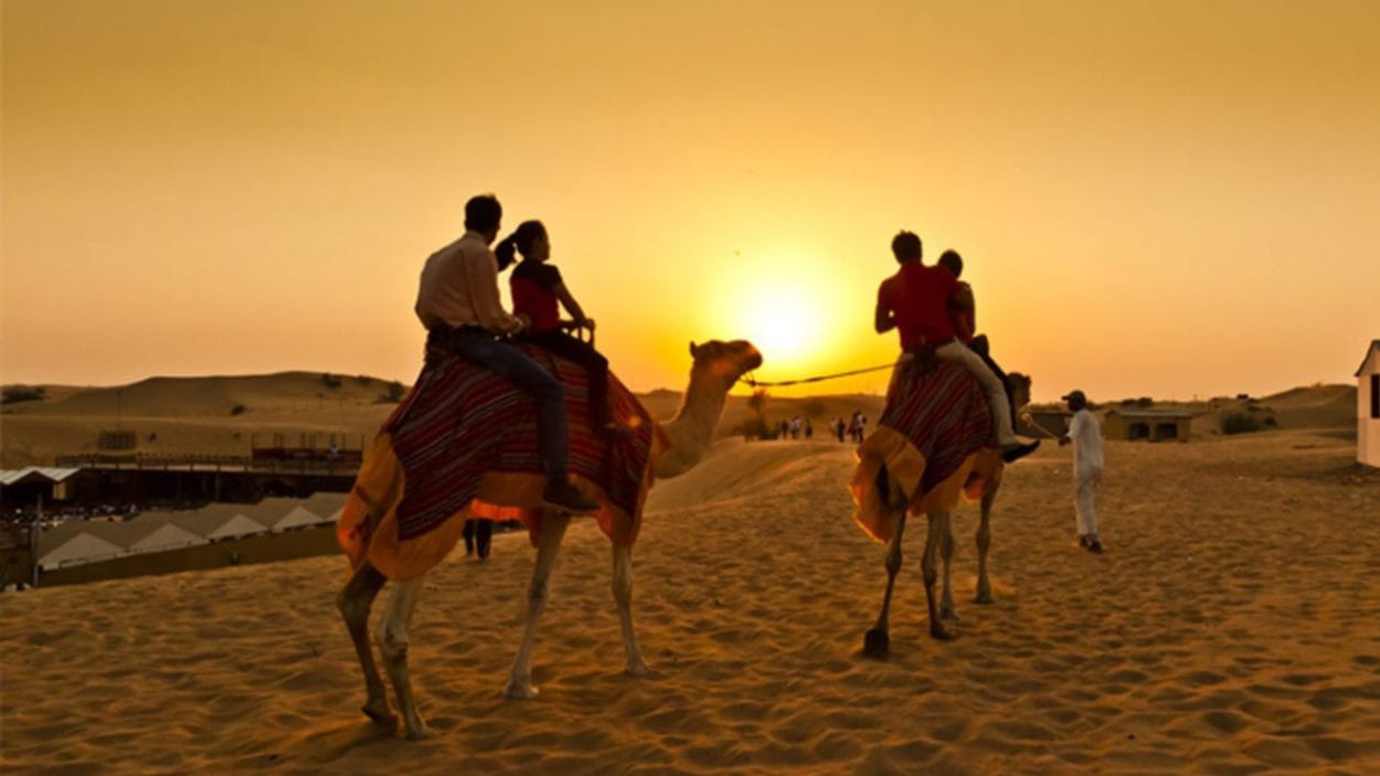 Camel tour & Sand board for Evening Desert safari