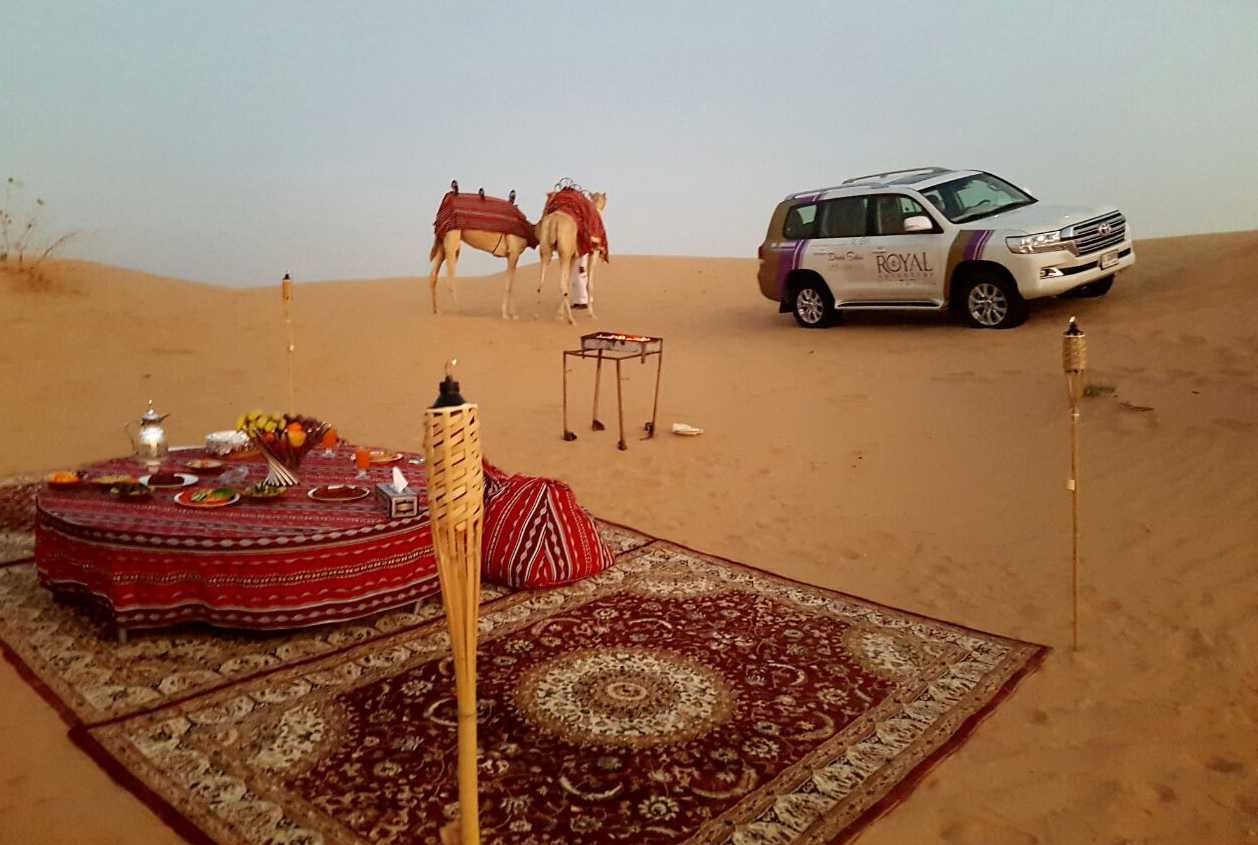 Desert safari private camel/jeep exclusively for yourself or your family