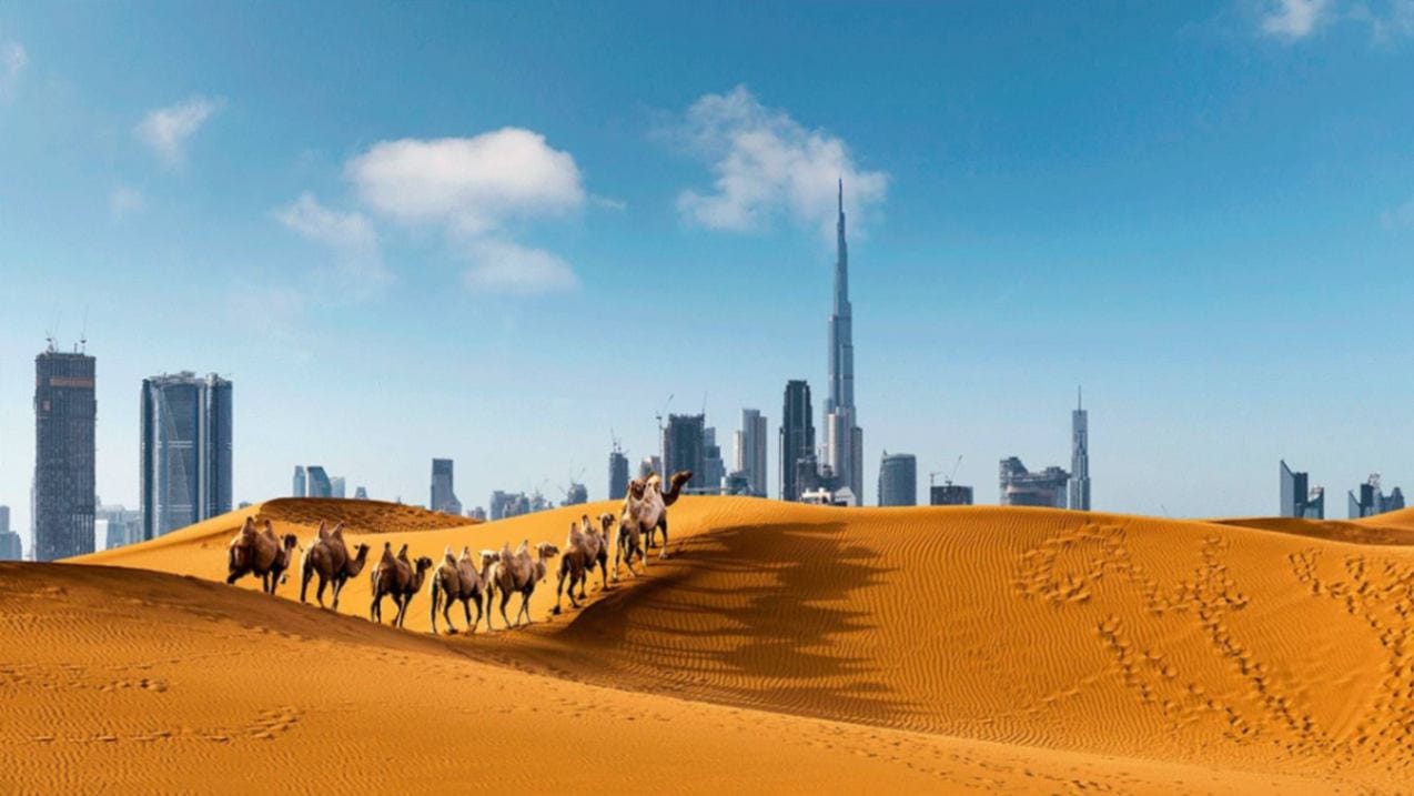 The desert safari tours dubai is about an hour away from the city