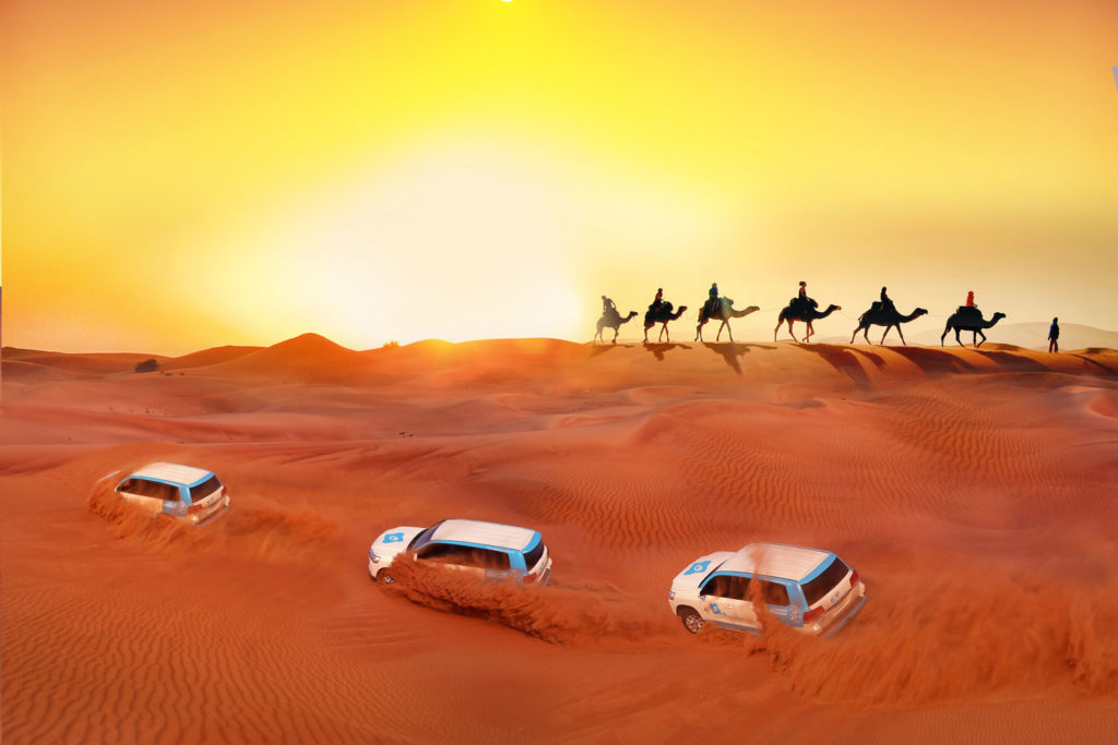 Desert Safari Dubai Buses Picking and Droping with camel ride and 4x4-vehicle