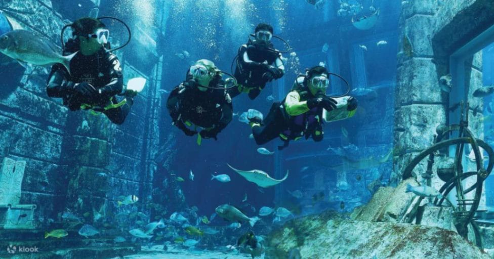 Here’s a manual to help you navigate through your underwater issues and include the arena of scuba deep dive Dubai hopefully.