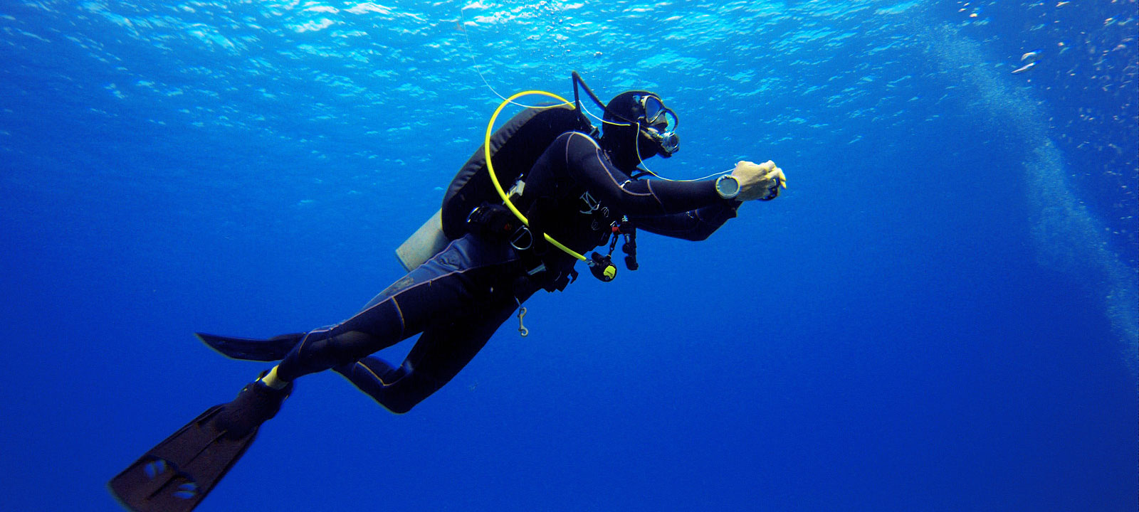 Three choices exist for best scuba diving experience in Musandam: