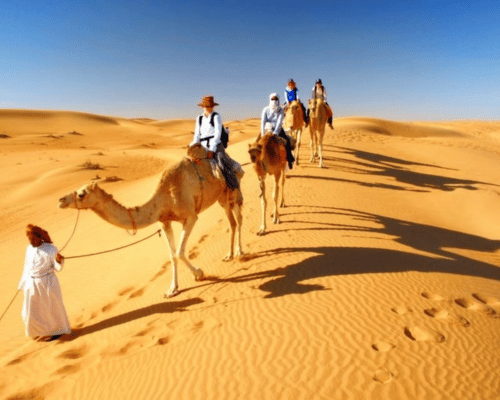 vip morning desert safari by tripscape tourism