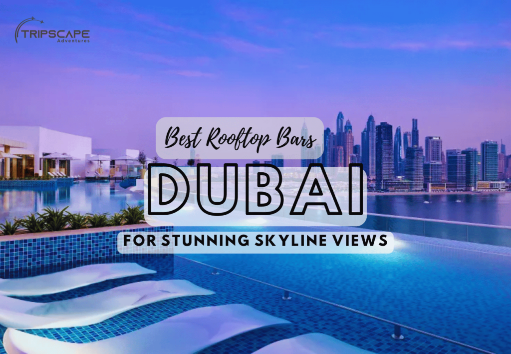 Best Rooftop Bars in Dubai for Stunning Skyline Views - tripscapetourism.com