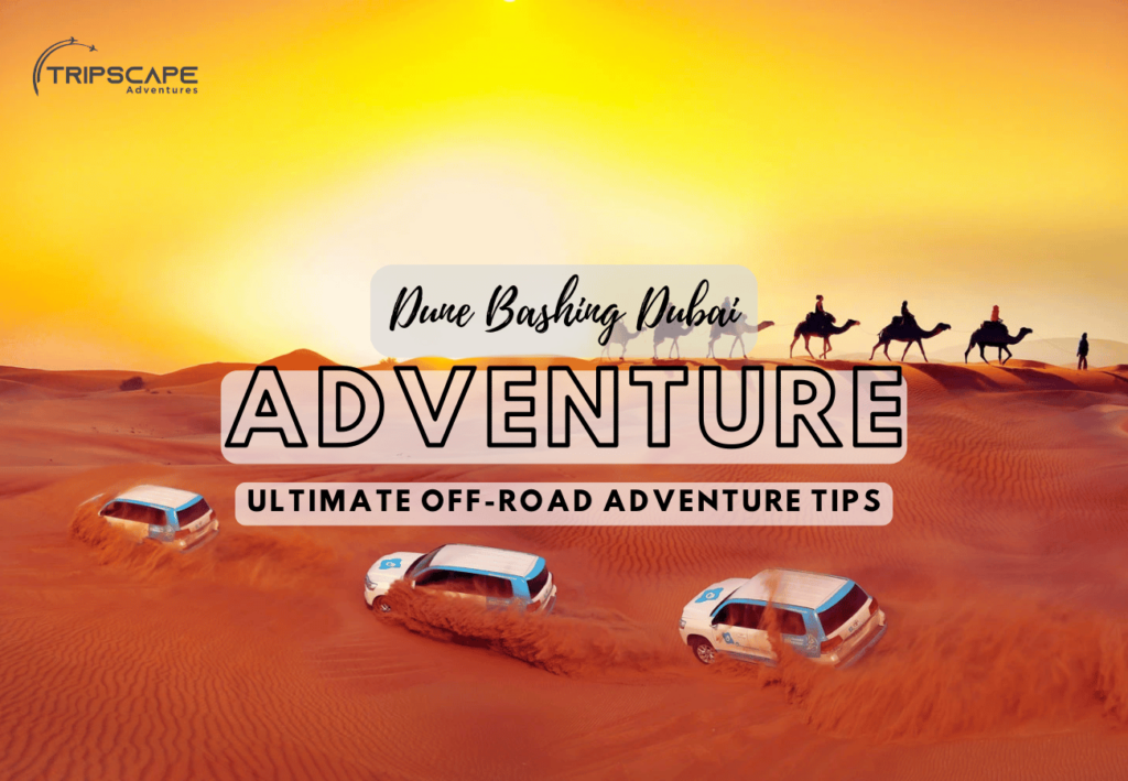 Dune Bashing Dubai Ultimate Off-Road Adventure Tips