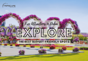 Free Attractions in Dubai – Explore the Best Budget-Friendly Spots