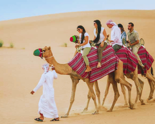 vip desert safari experience