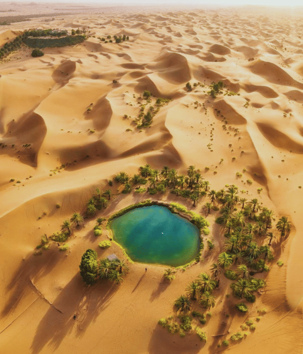 Liwa Oasis Tour