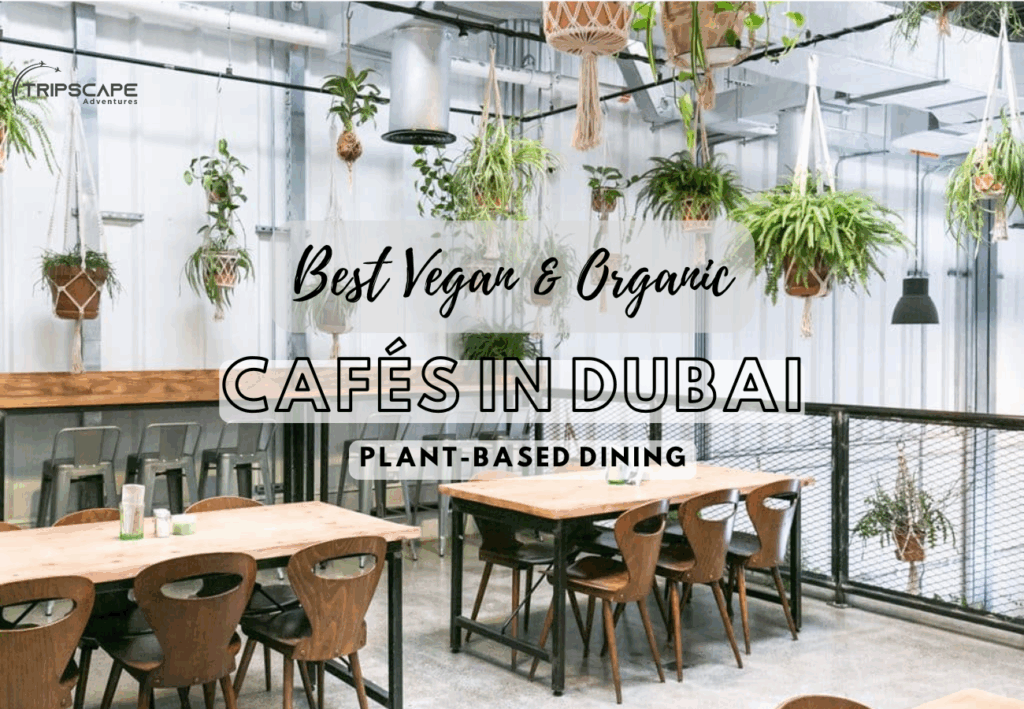 Best Vegan & Organic Cafés in Dubai Plant-Based Dining - tripscapetourism.com