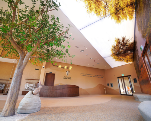 Dubai Desert Conservation Reserve