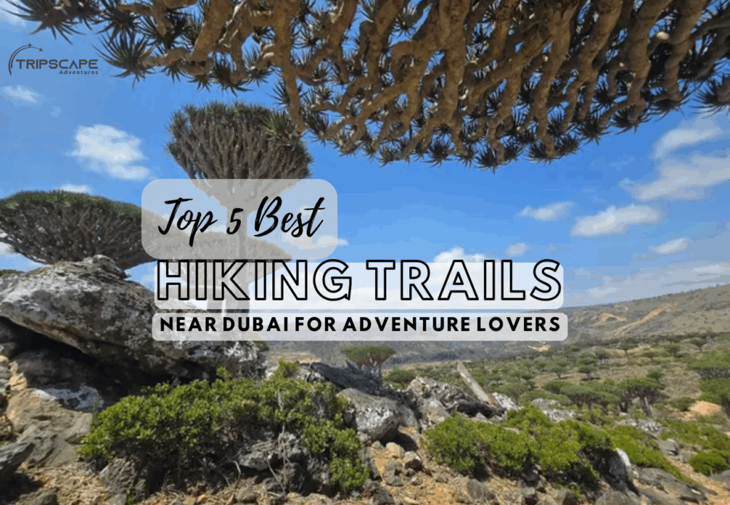 Top 5 Best Hiking Trails Near Dubai for Adventure Lovers - tripscapetourism.com