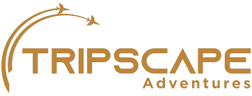 tripscape tourism - logo