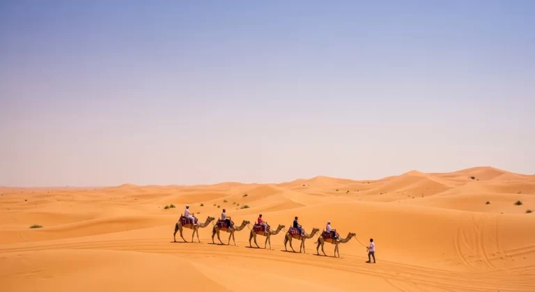 Summer Desert Safari Tips for Dubai Travelers