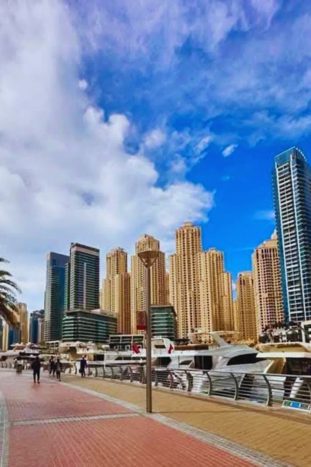 Sharjah city tour showcasing Islamic architecture and museums