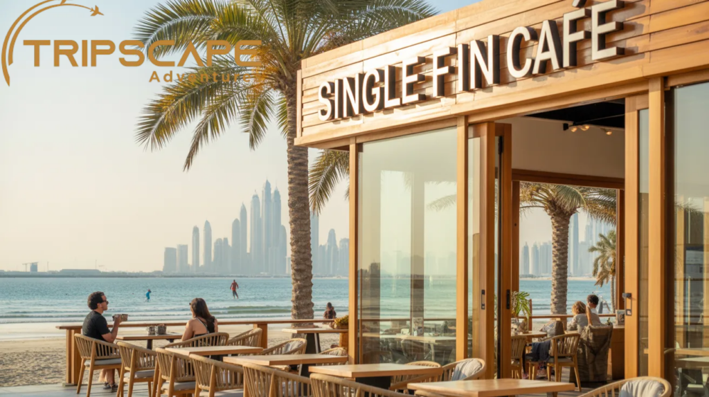 Single Fin Café – Near Kite Beach
