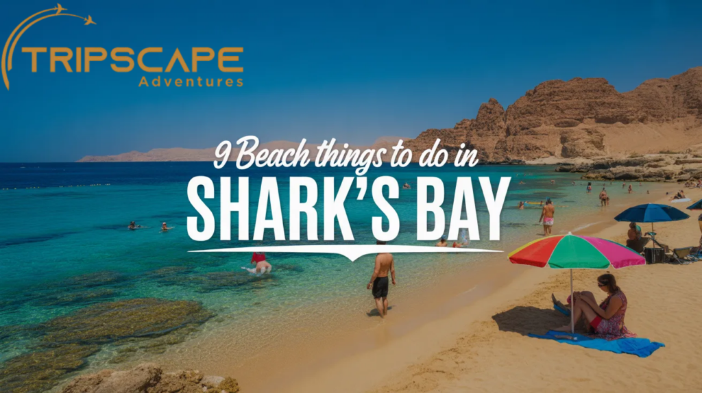 Beach Day at Shark’s Bay