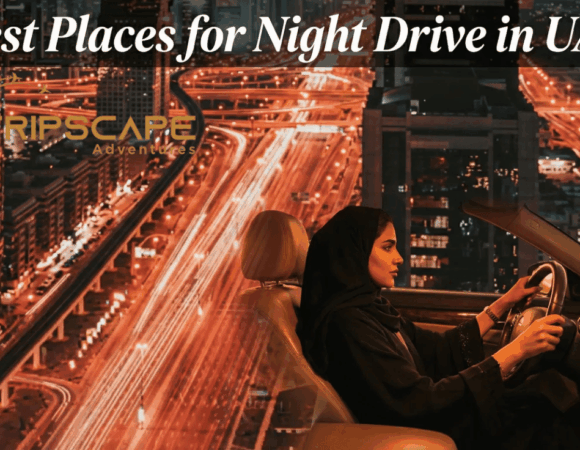 10 Best Place for Night Drive in UAE