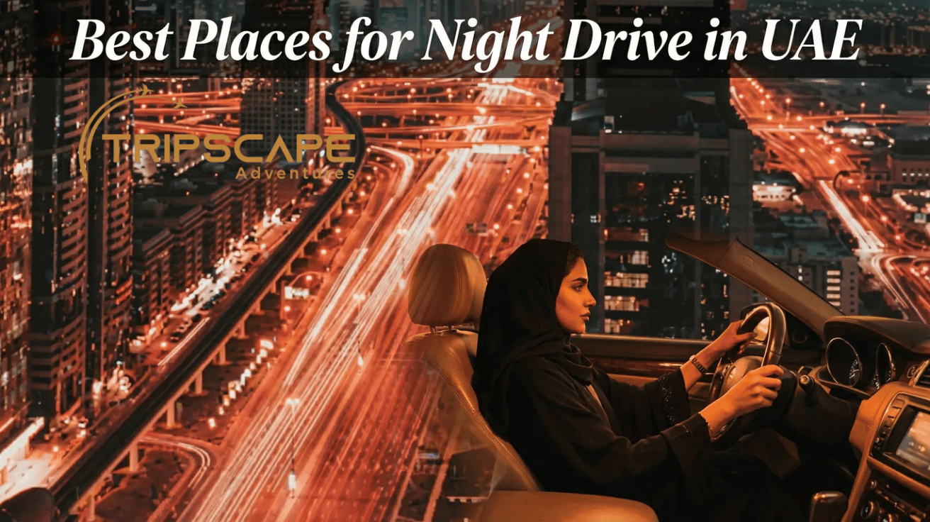 Best Places for Night Drive in UAE