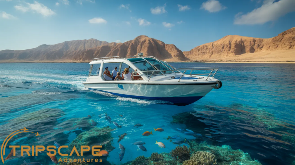 Glass Bottom Boat Tour