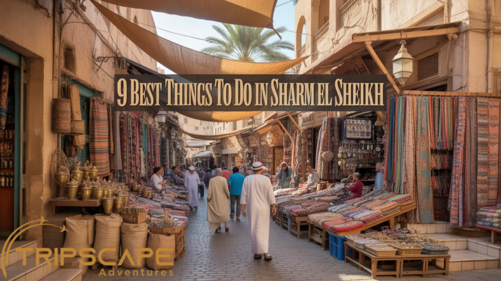 Old Market (Sharm El Sheikh Souk)