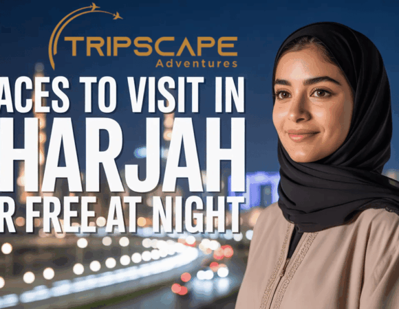 10 Places to Visit in Sharjah for Free at Night