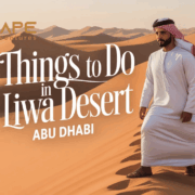 Things to Do in Liwa Desert Abu Dhabi