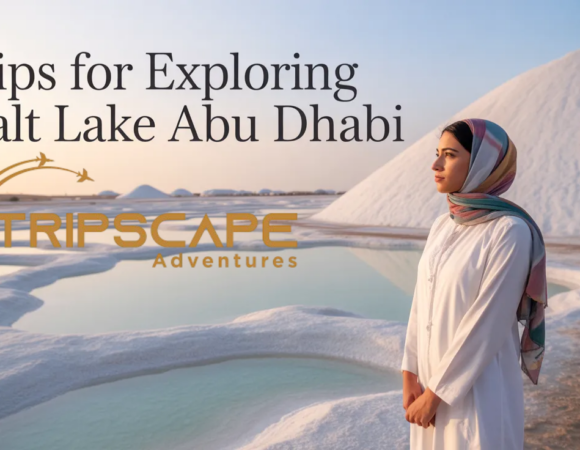16 Tips for Exploring Salt Lake Abu Dhabi